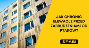 Zabrudzenia na elewacij