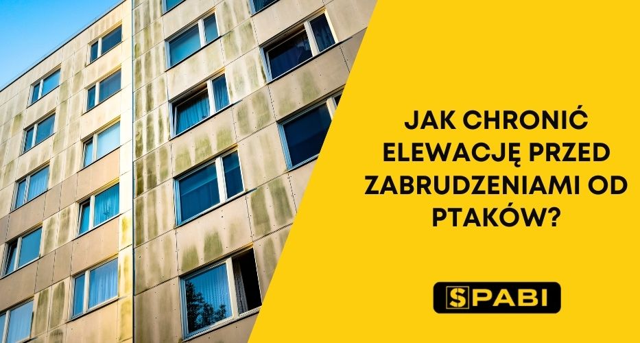Zabrudzenia na elewacij